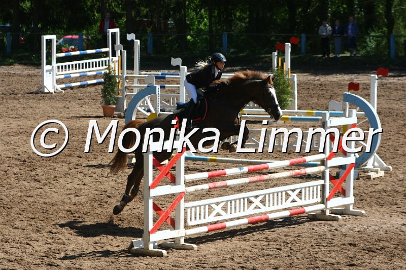 104M8428_Spring L.JPG